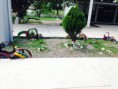 /album/fotogaleria/bbb-2-jpg/